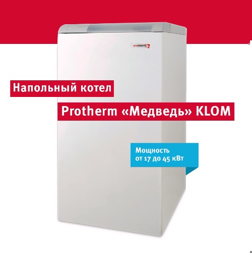 Зимой медведи залегают в спячку